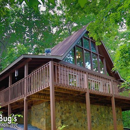 A Secluded Retreat #216 Vila Pigeon Forge Exterior foto